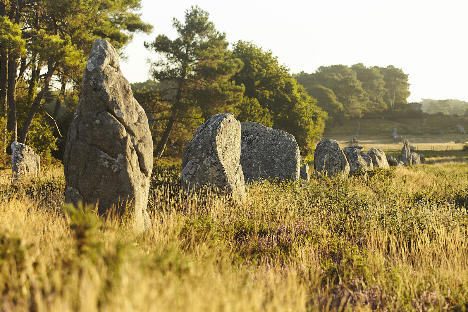 Les alignements de Carnac