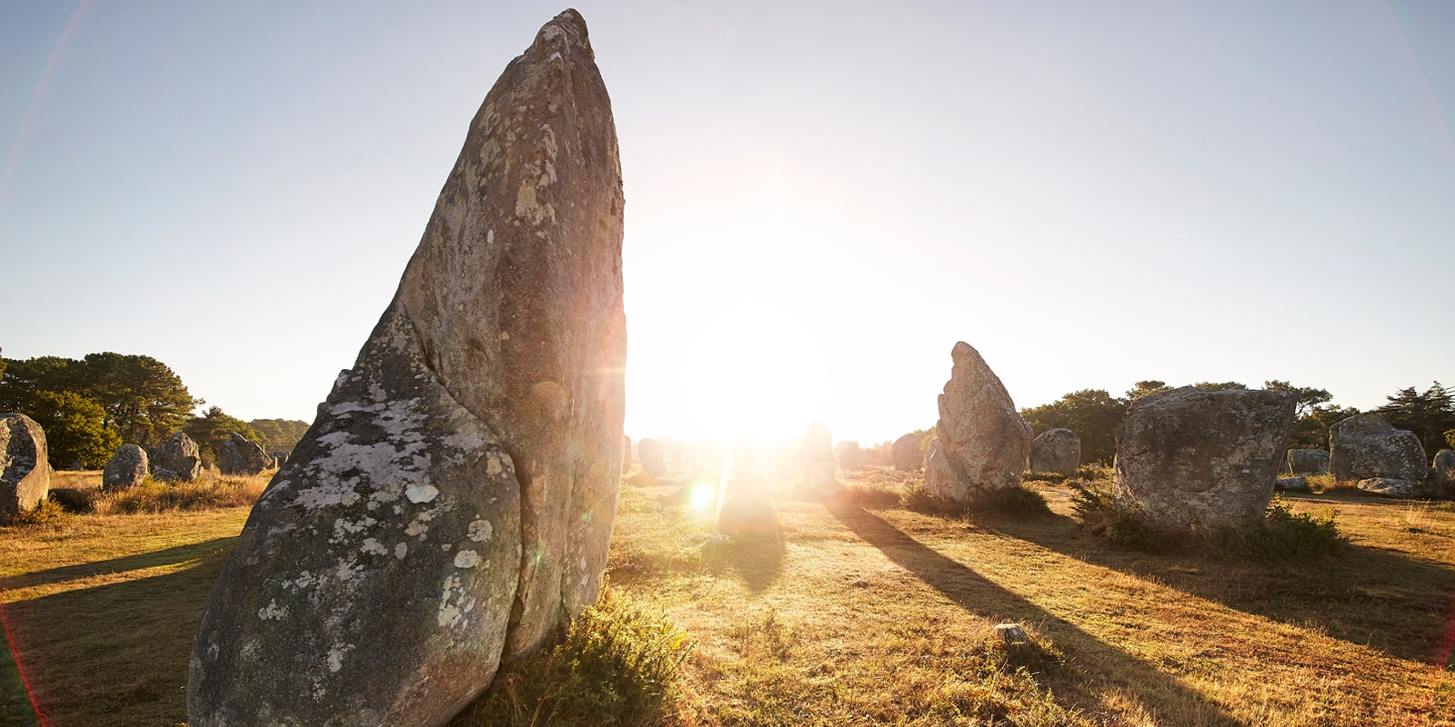 Les menhirs de Carnac