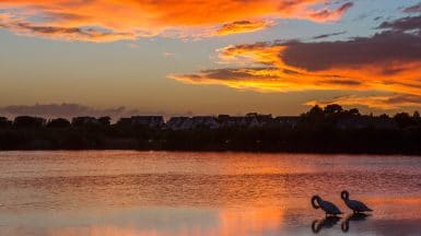 Belle vue d'un coucher du soleil aux salines de Carnac