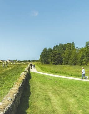 Circuit des alignements à Carnac