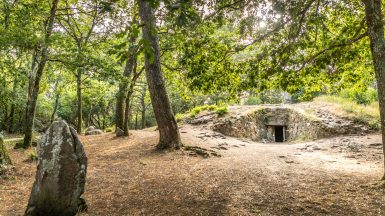 Comprendre le mégalithisme à Carnac