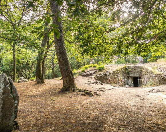 Comprendre le mégalithisme à Carnac