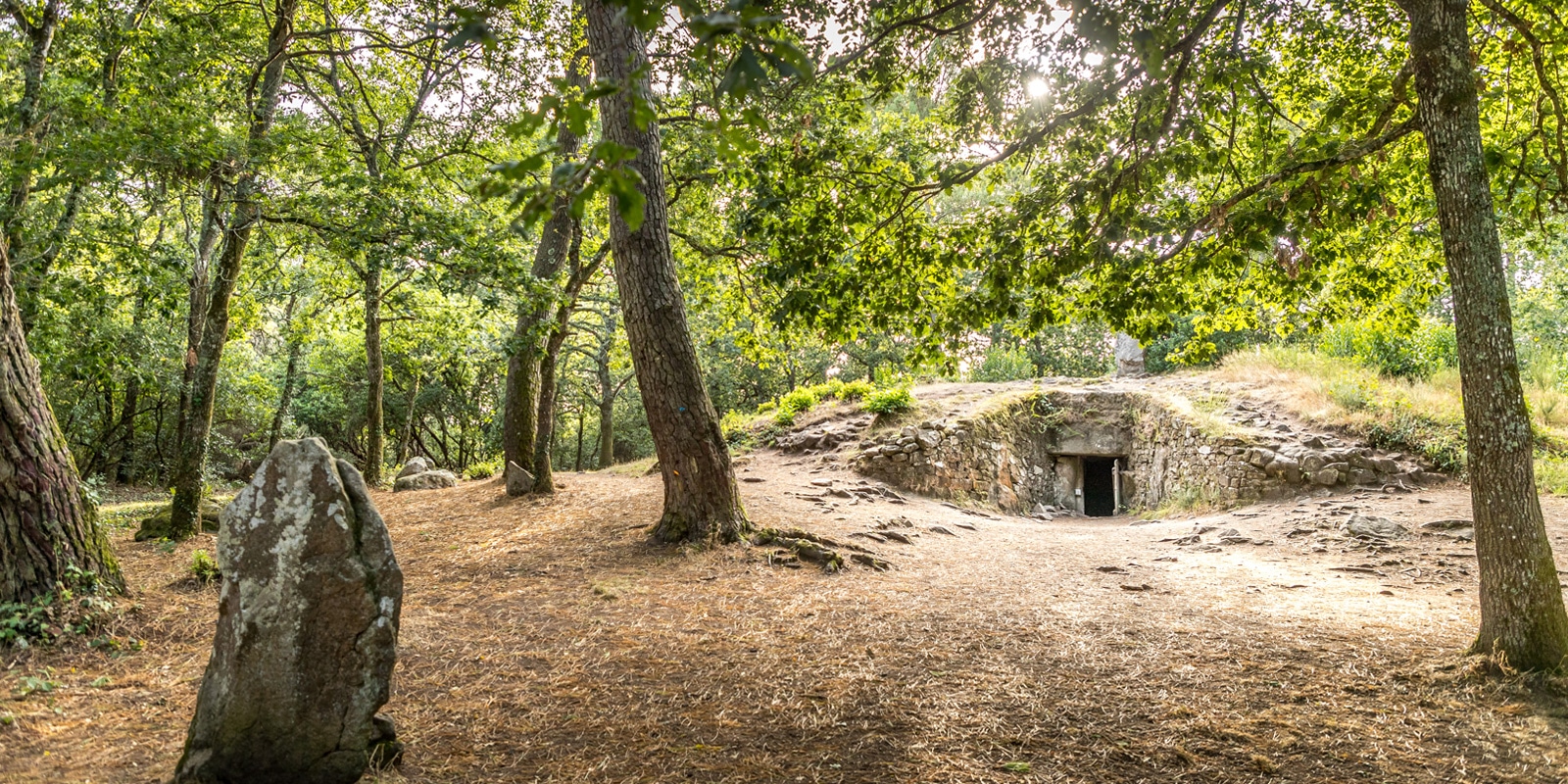 Comprendre le mégalithisme à Carnac