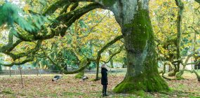 Curiosités et activités en Bretagne sud comme ici le Parc de Branféré copyright photo Emmanuel BERTHIER-Morbihan tourisme