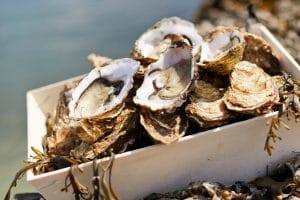 Les huîtres de l'Anse du Pô à Carnac