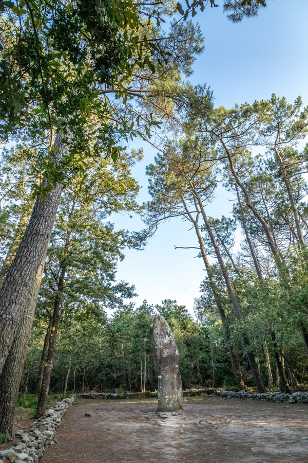 Le plus grand menhir de Carnac : le Géant du Manio entouré d'arbres