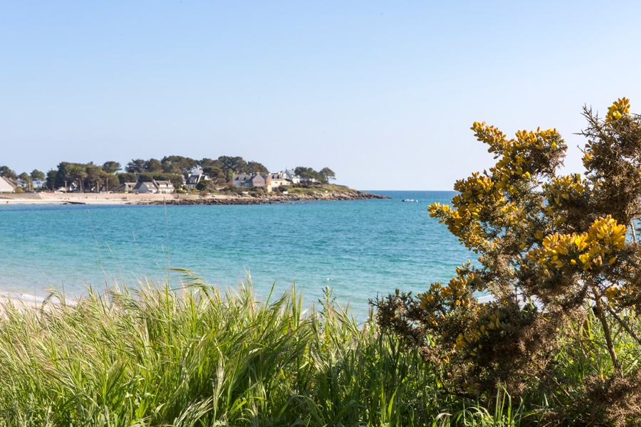 Vue fleurie sur la mer à Carnac