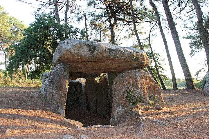 Site Mane Kerioned à Carnac