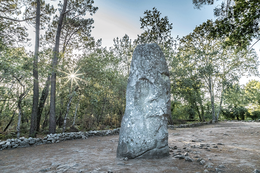 Géant du Manio à Carnac