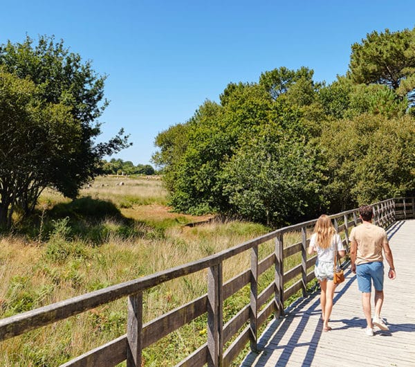 Couple en balade autour des Alignements de Carnac - copyright A. Lamoureux