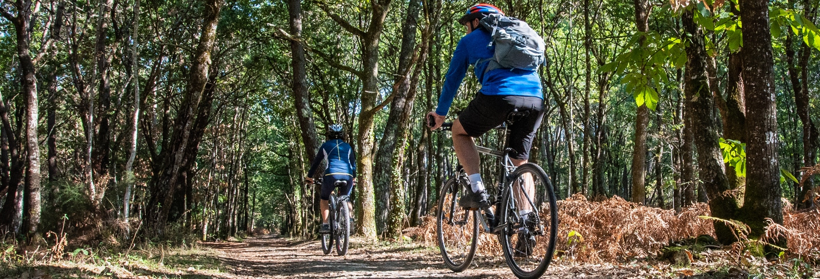 Vélo en automne à Carnac